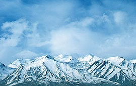 获取手机号验证码平台