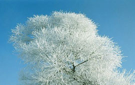 无限轰炸手机号码软件